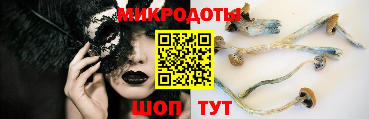 Галлюциногенные грибы Psilocybe Сарапул